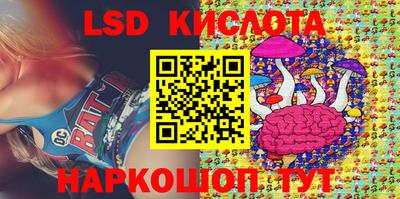 крисы Новокубанск