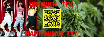 дмт Новодвинск