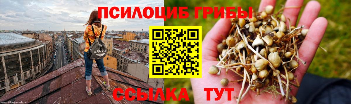 Галлюциногенные грибы ЛСД Тара