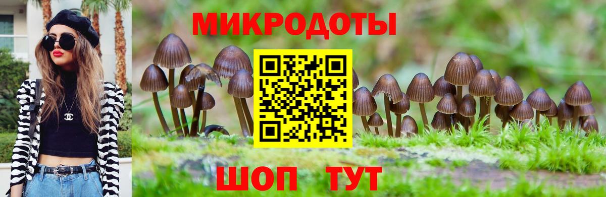 Псилоцибиновые грибы Cubensis  Вход с VPN  Тара 