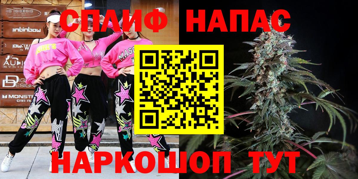 Каннабис MAZAR Тара